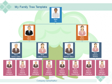 家庭树绘制软件