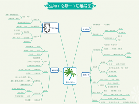 生物知识思维导图