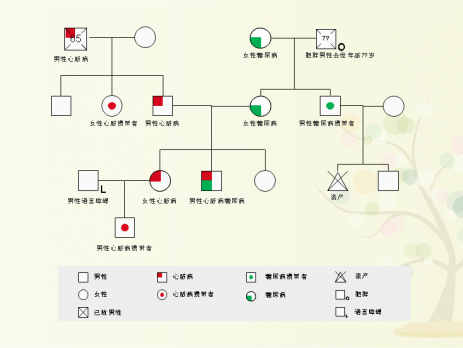 亿图图示家谱图
