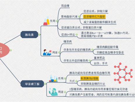 胰岛素思维导图