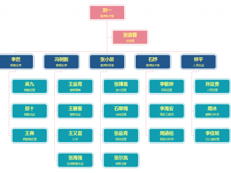 销售公司组织架构图