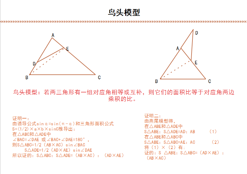 鸟头模型